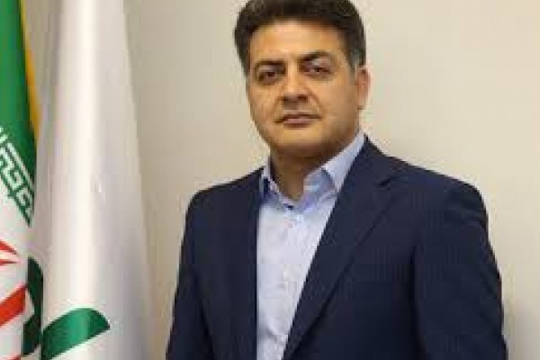 زارت ورزش توجهی به طرح های اقتصادی هیئت مدیره پرسپولیس نداشت 