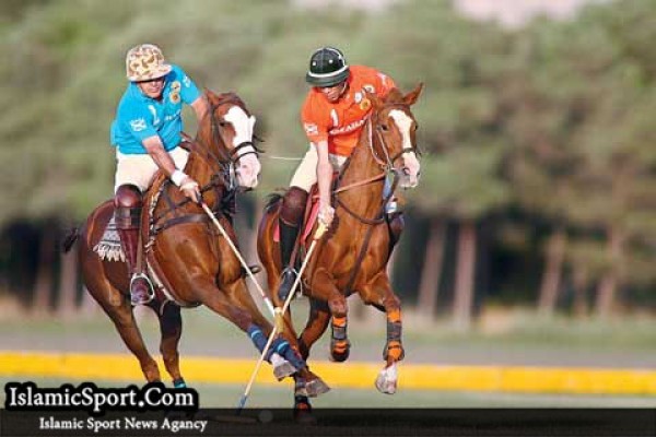 رئیس فدراسیون چوگان برکنار شد